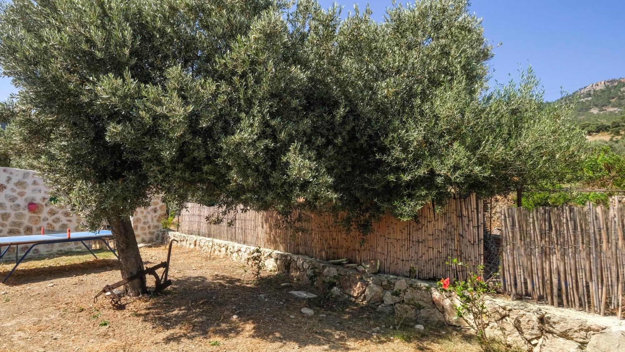 Вілла Likya House - Deniz Ve Doga Manzarali, Havuzlu Патара Екстер'єр фото